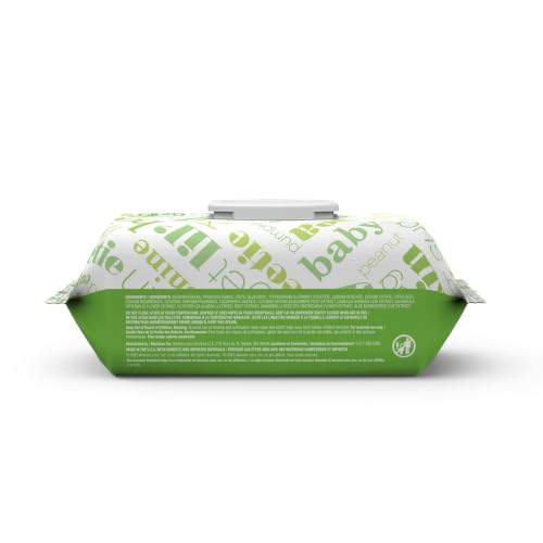 Amazon Elements Baby Wipes, Fresh Scent, Flip-Top Packs, Alcohol-Free, With
