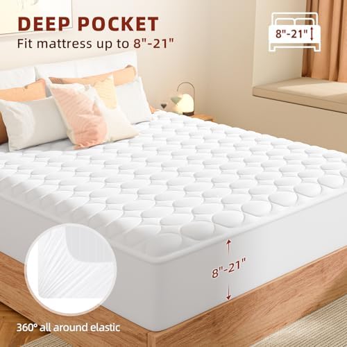 MASVIS Heated Mattress Pad Queen Size with Dual Control