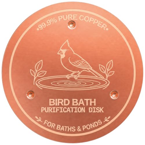 Copper Disc for Bird Bath, 99.9% Pure Copper (Cardinal)