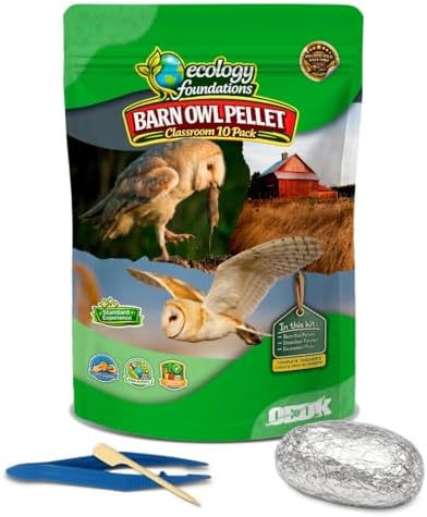 Barn Owl Pellet Dissection Kit for Classrooms, Large 10-Pack by OBDK