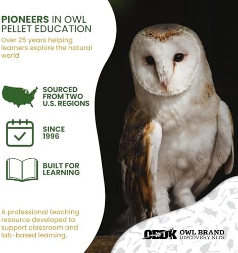 Barn Owl Pellet Dissection Kit for Classrooms, Large 10-Pack by OBDK