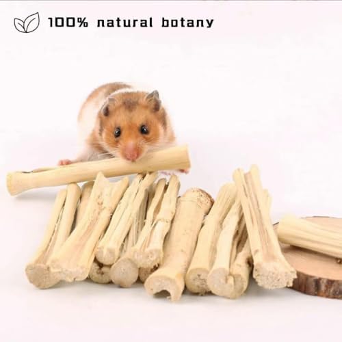 2lb Sweet Bamboo Chew Sticks for Rabbits & Guinea Pigs