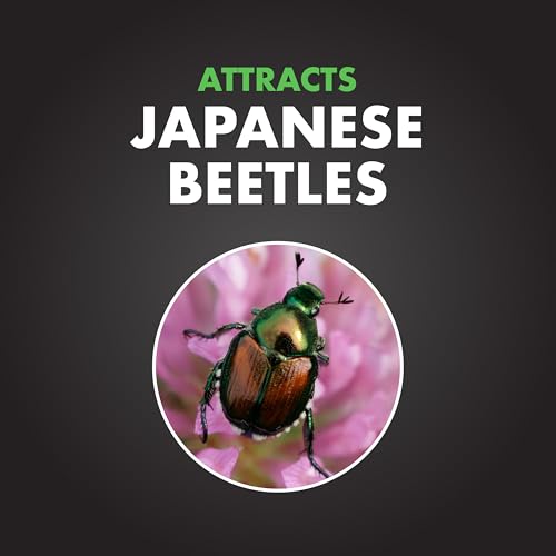 Spectracide Bag-A-Bug Japanese Beetle Trap Bundle, 1 Trap & 2 Refills