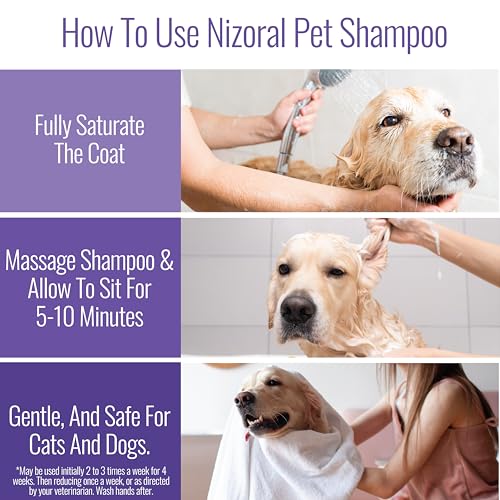 Nizoral Ketoconazole Pet Shampoo, 16 Oz, Chlorhexidine, Dogs & Cats
