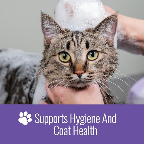 Nizoral Ketoconazole Pet Shampoo, 16 Oz, Chlorhexidine, Dogs & Cats