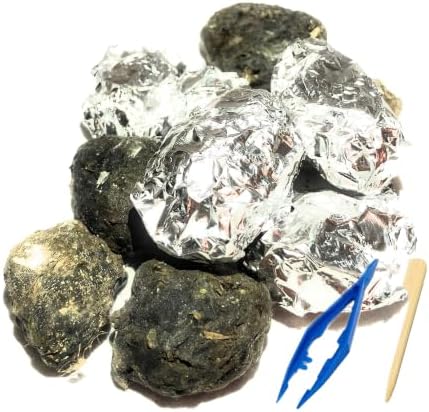 Premium Barn Owl Pellets, Small: 1.25"-1.5" (Pack of 20) - Free Bone Identification Chart