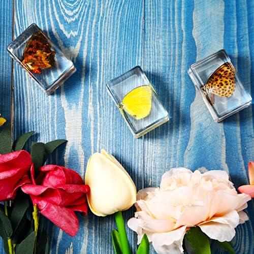 12 Pcs Insect Specimens for Kids Resin Bug Collection Kit, Butterfly