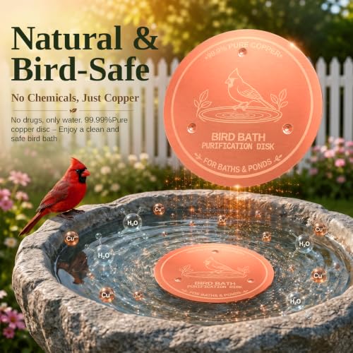 Copper Disc for Bird Bath, 99.9% Pure Copper (Cardinal)