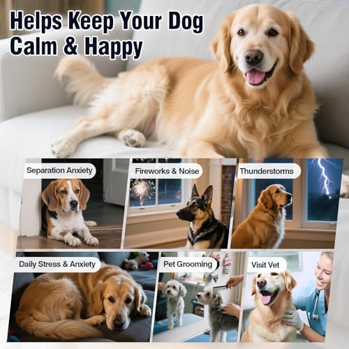 Calming Chews for Dogs 200ct, Dog Calming Chews - Anxiety and Stress Relief