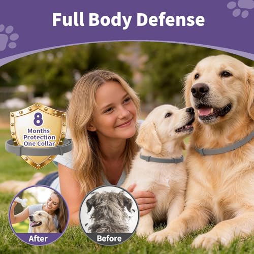 5 Packs Flea and Tick Collar for Dogs, Flea Collar for 40-Month Protection
