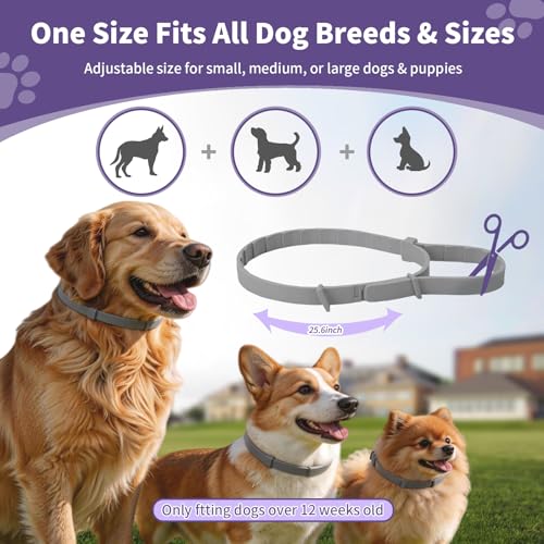 5 Packs Flea and Tick Collar for Dogs, Flea Collar for 40-Month Protection