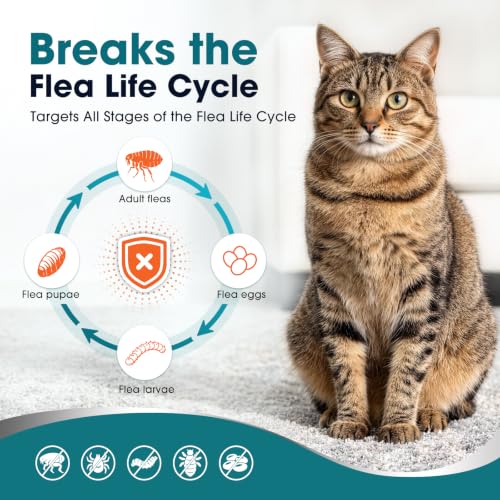 Topical Flea and Tick for Cats & Kittens Over 1.5 lbs, Waterproof, Monthly