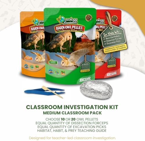 Barn Owl Pellet Dissection Kit for Classrooms, Large 10-Pack by OBDK