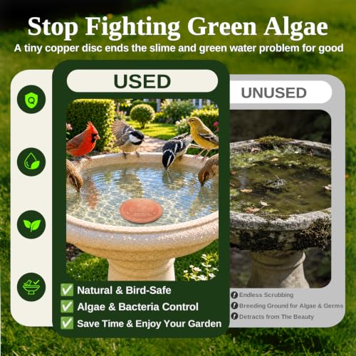 Copper Disc for Bird Bath, 99.9% Pure Copper (Cardinal)