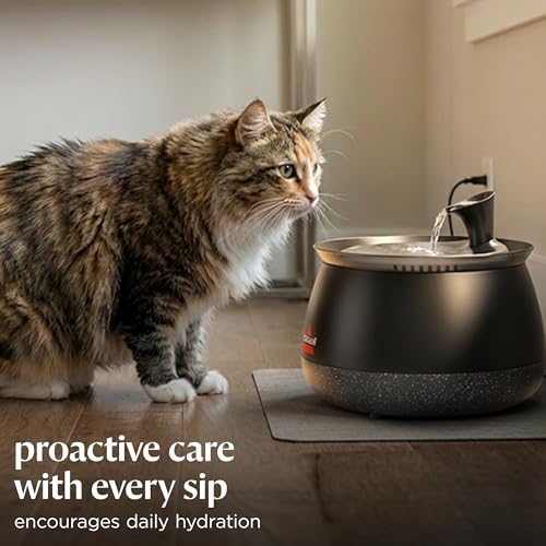 BISSELL HydrateWell Cat Water Fountain, 91oz, 4408