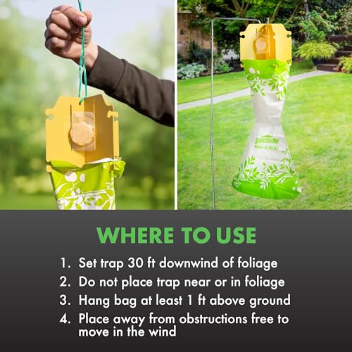 Spectracide Bag-A-Bug Japanese Beetle Trap Bundle, 1 Trap & 2 Refills