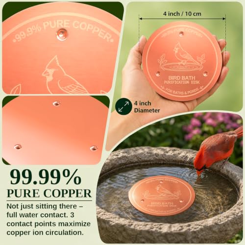 Copper Disc for Bird Bath, 99.9% Pure Copper (Cardinal)