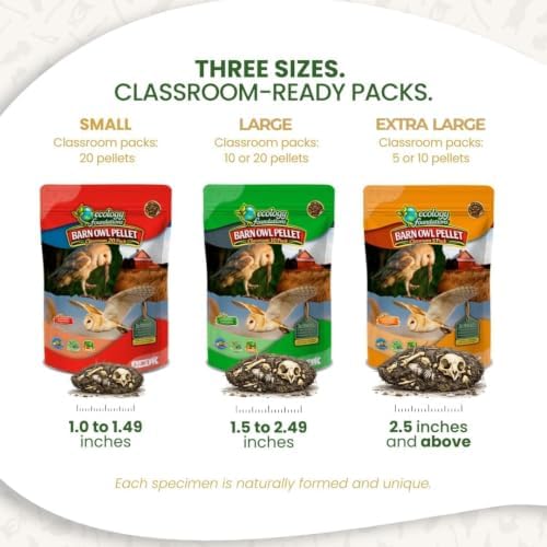 Barn Owl Pellet Dissection Kit for Classrooms, Large 10-Pack by OBDK