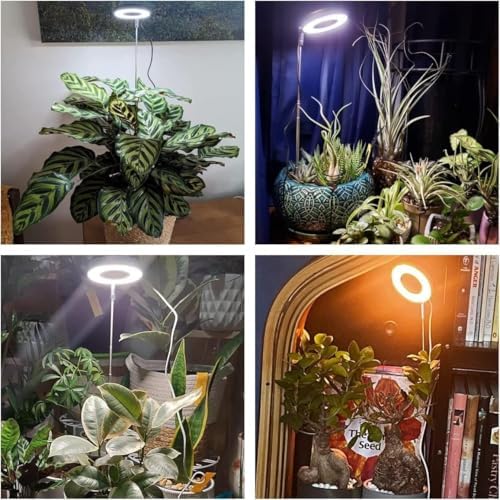 Grow Lights for Indoor Plants, Full Spectrum Plant Light with Base