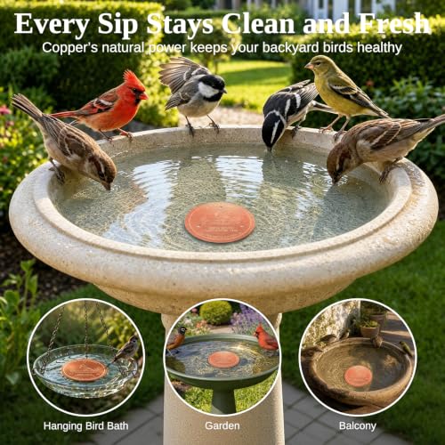 Copper Disc for Bird Bath, 99.9% Pure Copper (Cardinal)