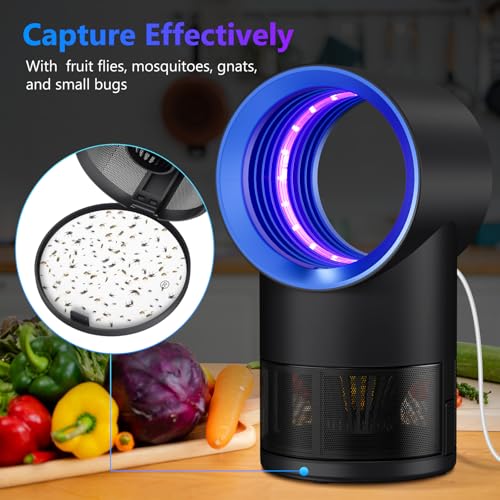Fly Trap Indoor,Blue Gnat Traps House Indoor,Indoor Insect Trap with Timer