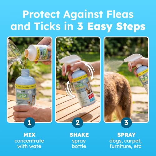 BugMD Flea and Tick Spray for Dogs - Kills & Repels on Contact