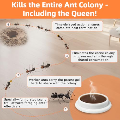 48 Pack Slow-Acting Ant Bait Gel Stations for Indoor & Outdoor Eliminate