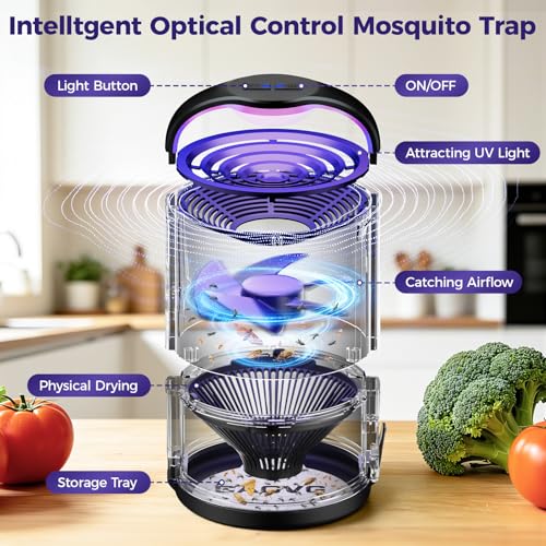 Fly Trap Indoor, Fruit Fly Traps for Indoors Suction & Adjust Light, Black