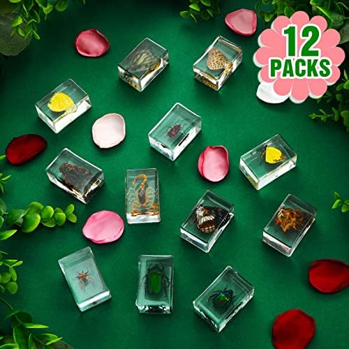 12 Pcs Insect Specimens for Kids Resin Bug Collection Kit, Butterfly