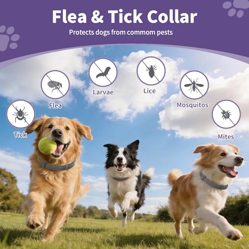 5 Packs Flea and Tick Collar for Dogs, Flea Collar for 40-Month Protection