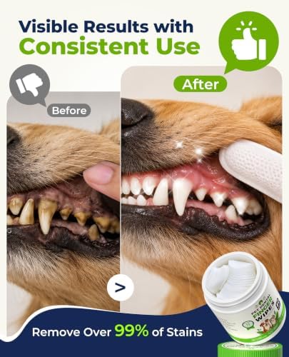 Dog Dental Wipes for Teeth Cleaning, Finger Toothbrush Wipes for Dogs Cats