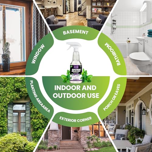 Peppermint Oil Insect & Spider Repellent Spray - All-Natural, Pet-Safe Bug