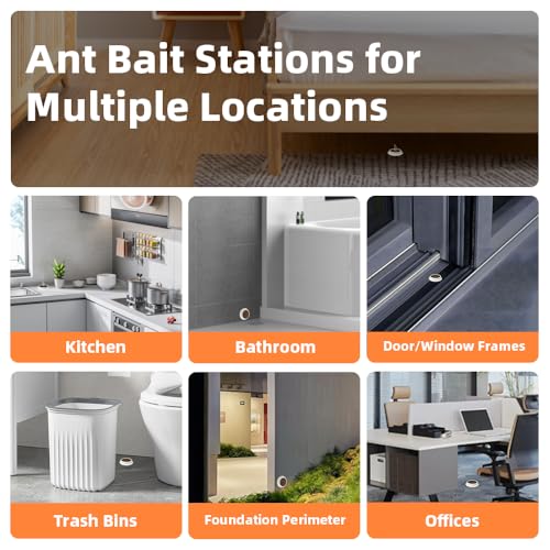 48 Pack Slow-Acting Ant Bait Gel Stations for Indoor & Outdoor Eliminate
