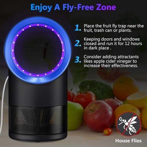 Fly Trap Indoor,Blue Gnat Traps House Indoor,Indoor Insect Trap with Timer