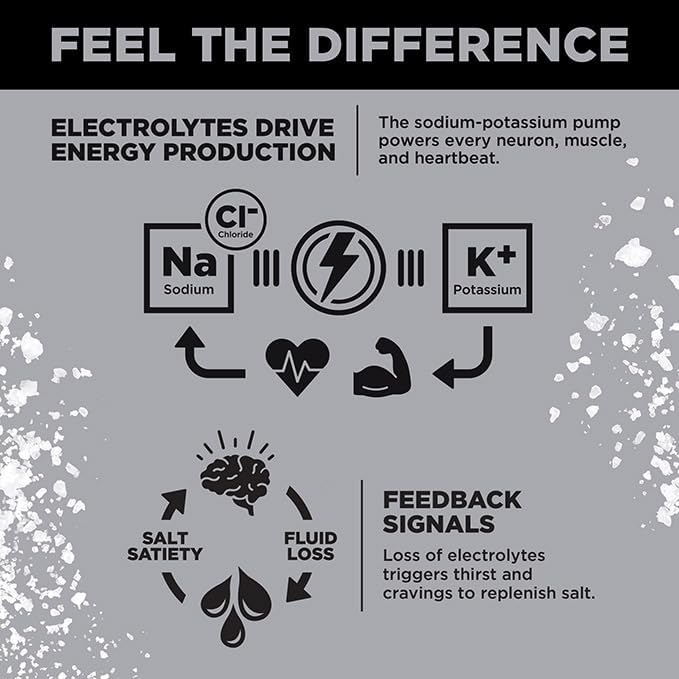 LMNT Zero Sugar Electrolytes - Variety Pack Bundle