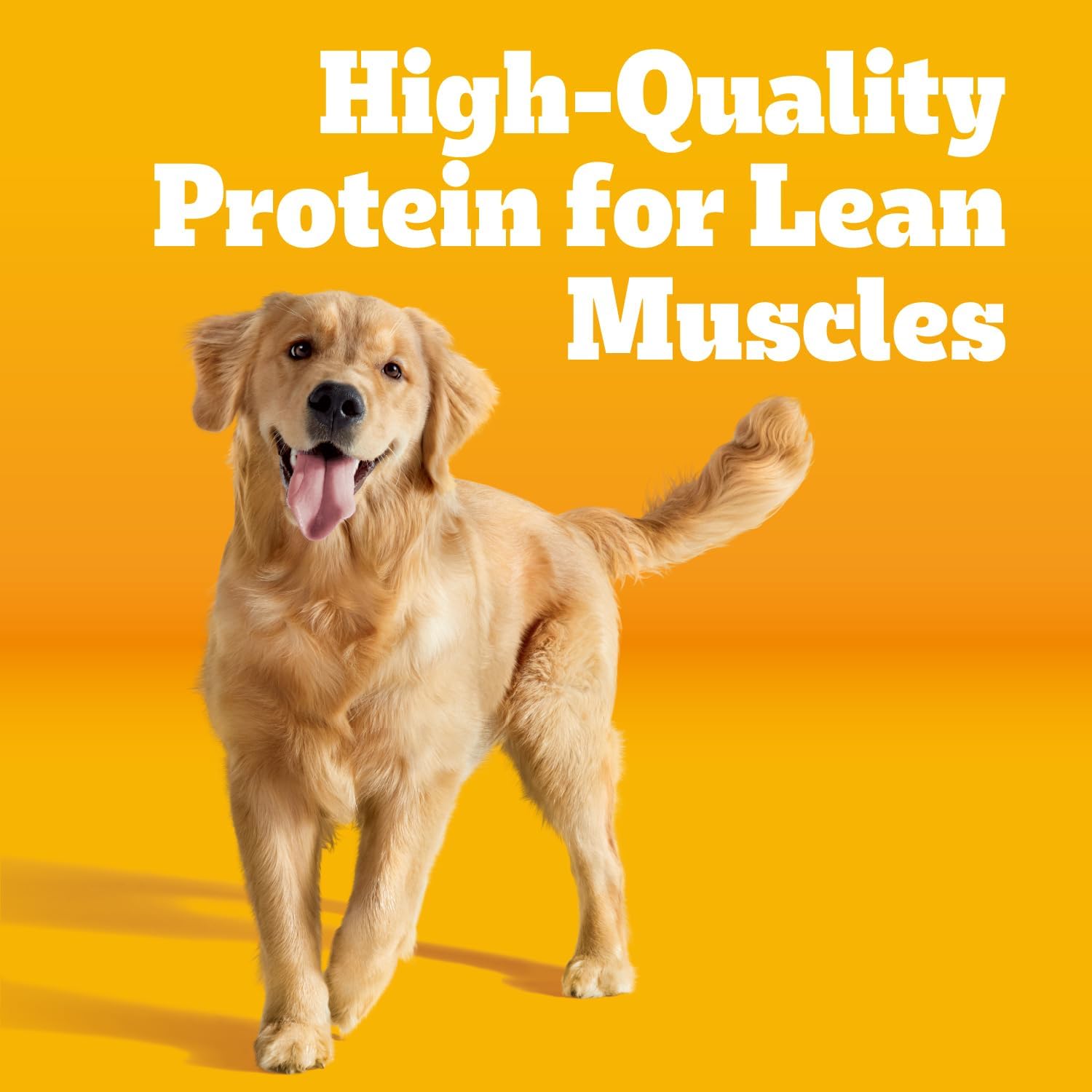 Pedigree Adult Dry Dog Food, Complete Nutrition, Grilled Steak & Vegetable