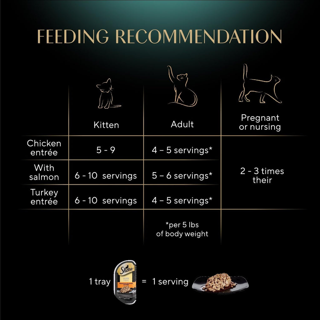Sheba Perfect Portions Wet Cat Food Cuts in Gravy, Cat Food Wet Recipe