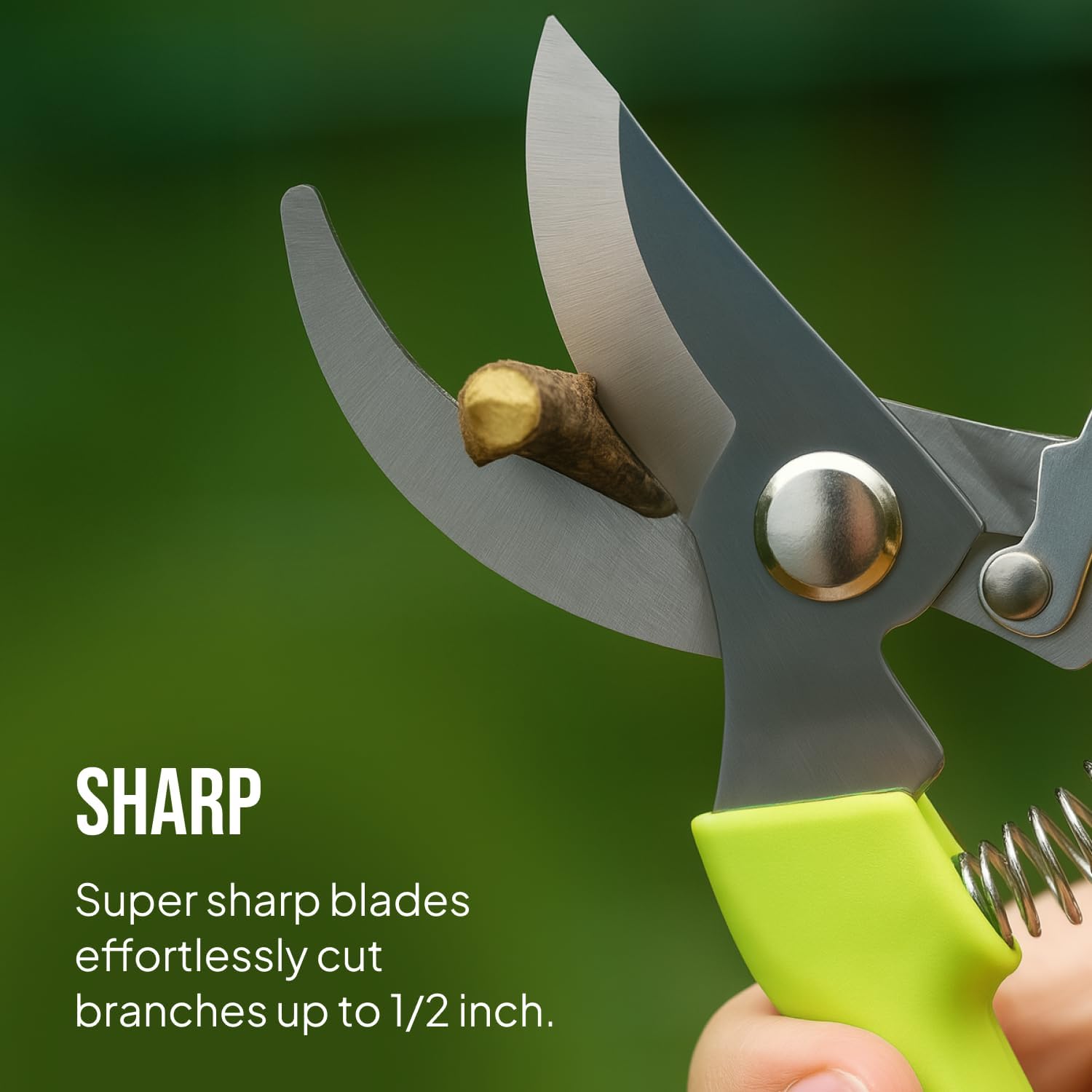 2-Pack Stainless Steel Gardening Scissors, Pruning Shears and Clippers for