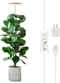 Grow Lights for Indoor Plants, Full Spectrum 6.3" Halo Plant Light