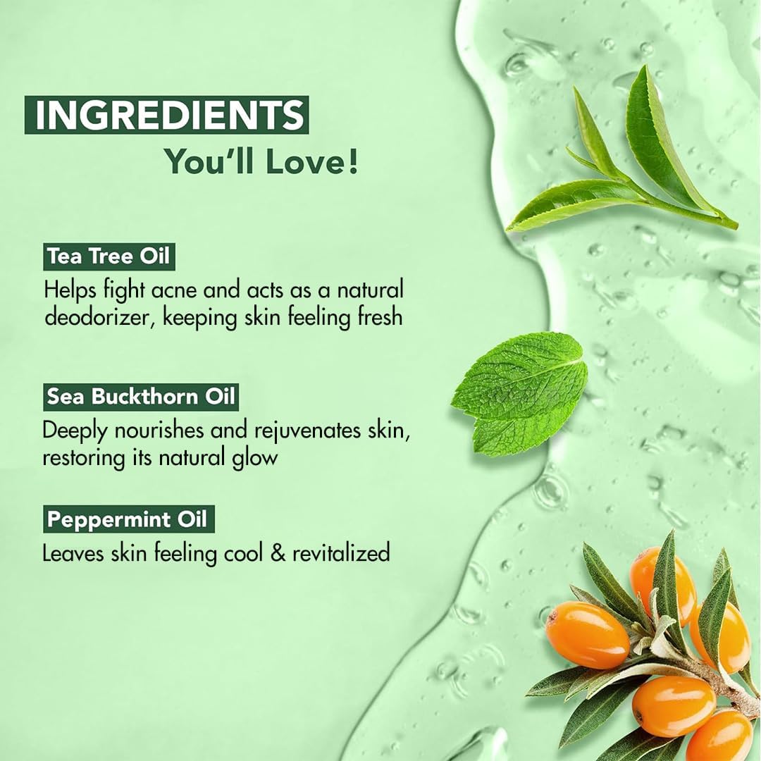 Botanic Hearth Tea Tree Body Wash 16 fl oz (2 Pack) Natural Antifungal & Odor