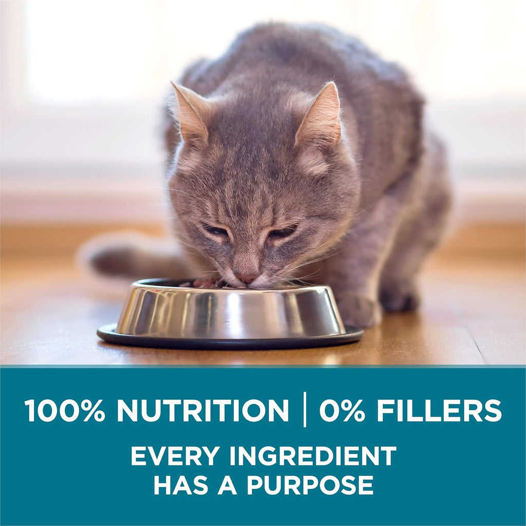Purina ONE Natural Dry Cat Food, Tender Selects Blend With Real Salmon - 7