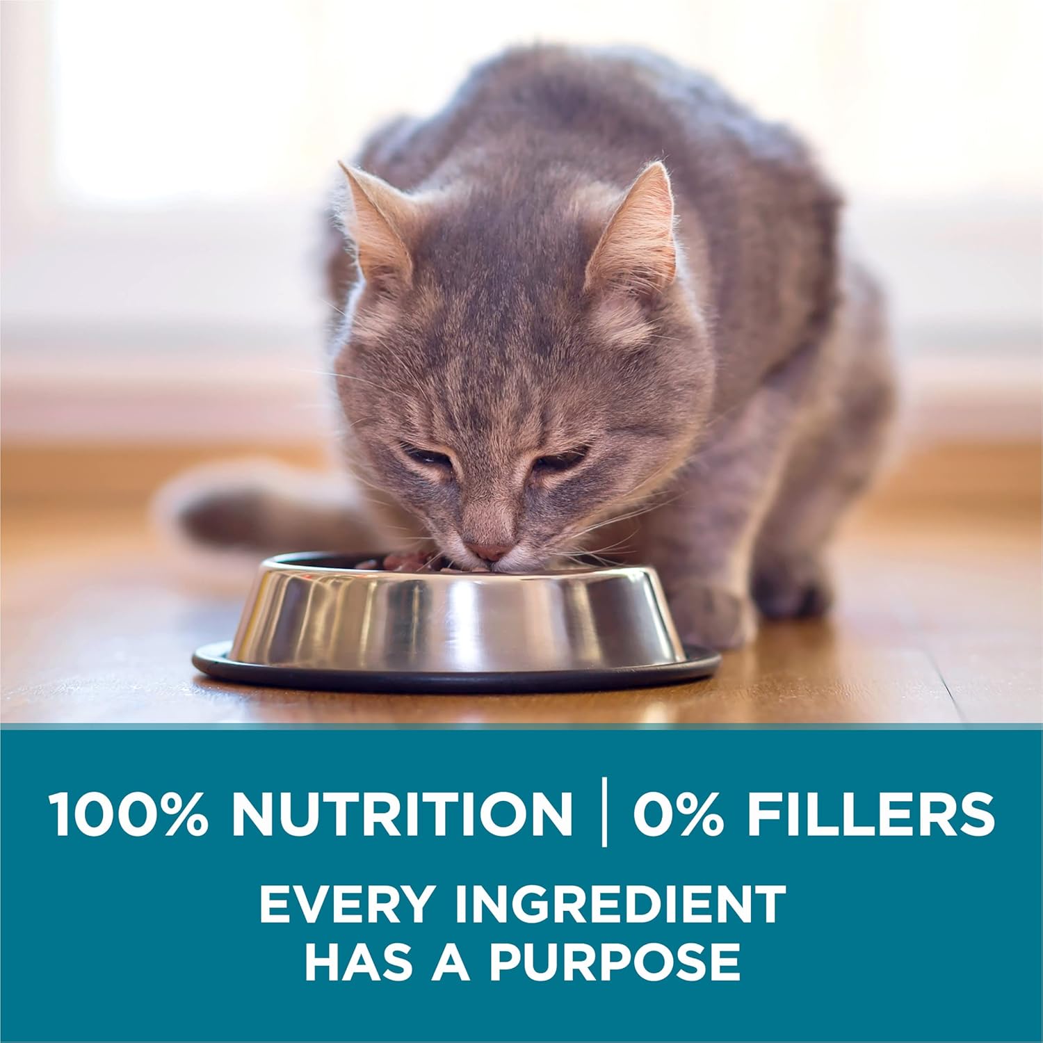 Purina ONE Natural Dry Cat Food, Tender Selects Blend With Real Salmon - 7