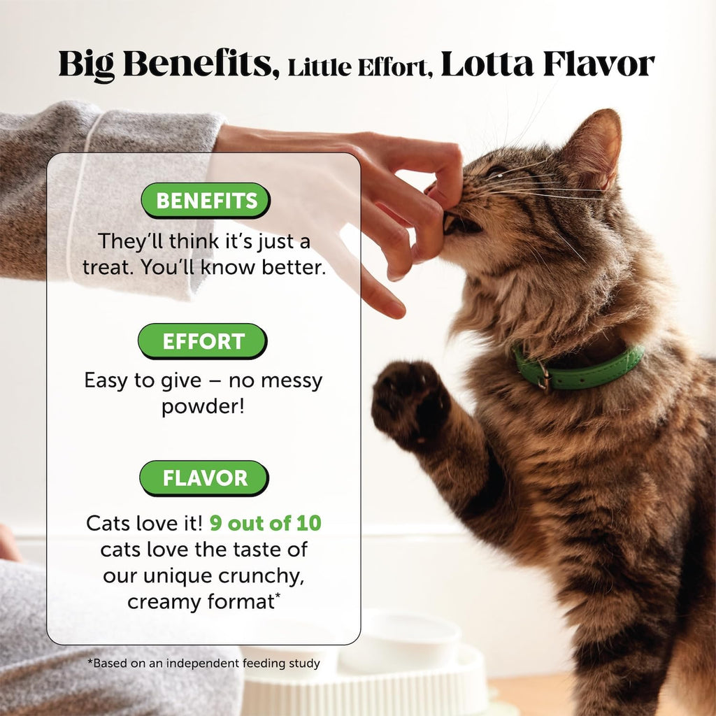 Cat Hairball Support Crunchy & Creamy Chews, Hairball Remedy Treats, Cat