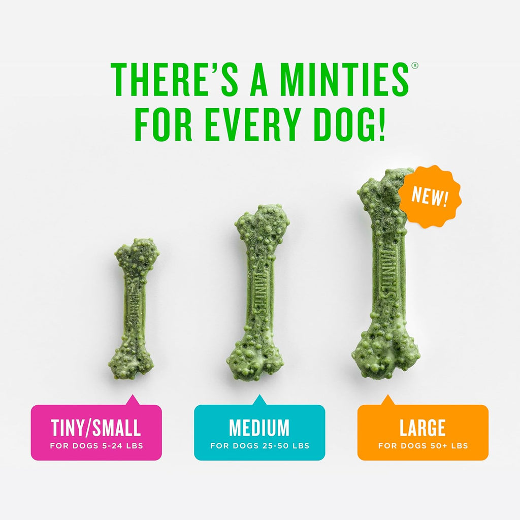 Minties Dog Dental Bone Treats, Tiny/Small Dental Dog Treats, 16 Ounces