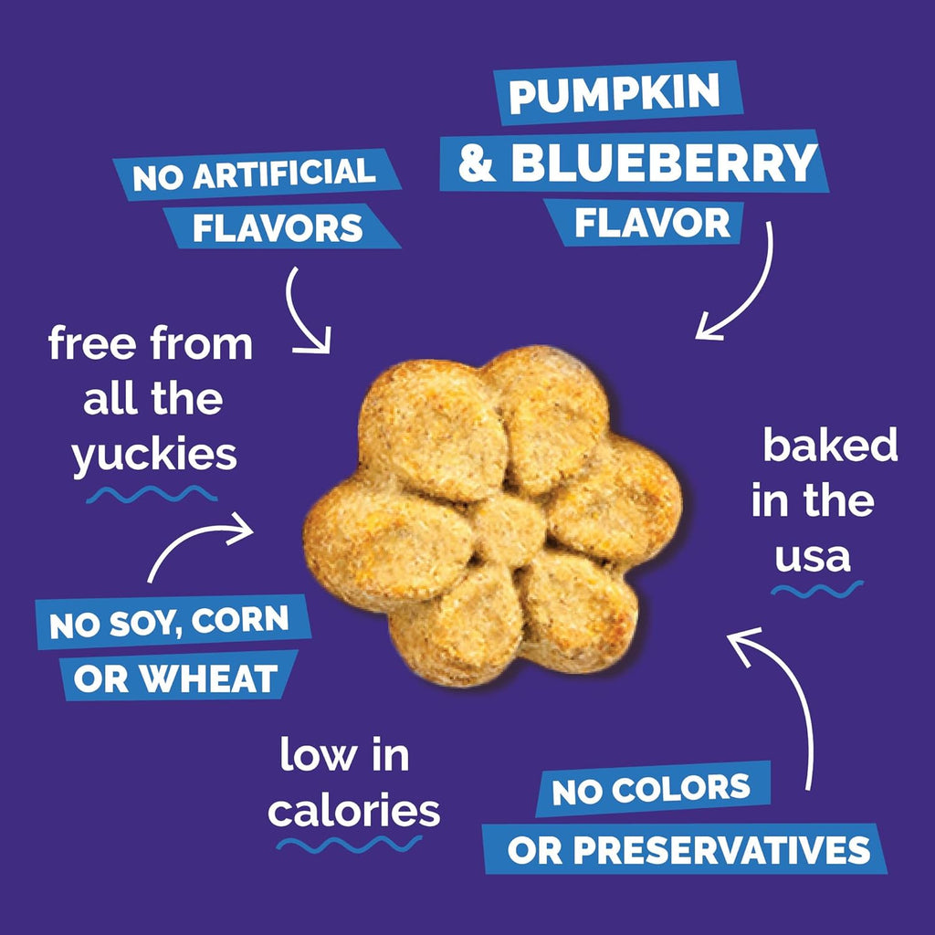Fruitables Baked Dog Treats, Healthy Pumpkin Treat for Dogs, Low Calorie &