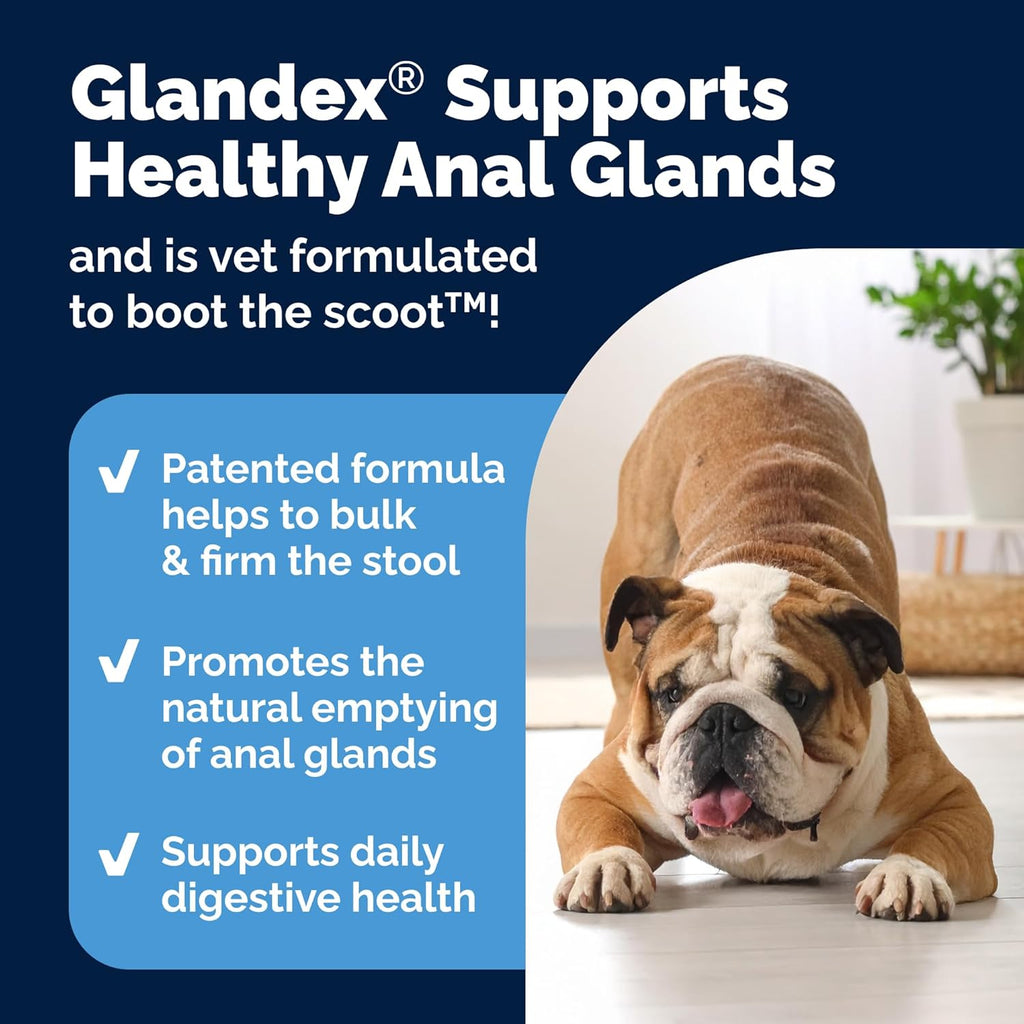 Vetnique Glandex Anal Gland Soft Chew Treats with Pumpkin for Dogs Digestive