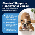 Vetnique Glandex Anal Gland Soft Chew Treats with Pumpkin for Dogs Digestive