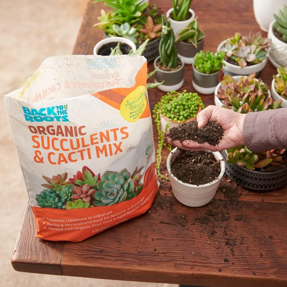 Back to the Roots 100% Organic Succulent & Cacti Mix (6 Quart)