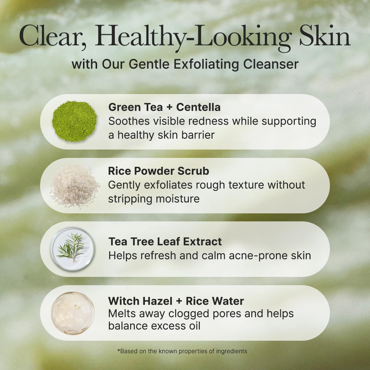 Arencia Korean Rice Mochi Face Cleanser - Face Wash, Gentle Scrub All in One