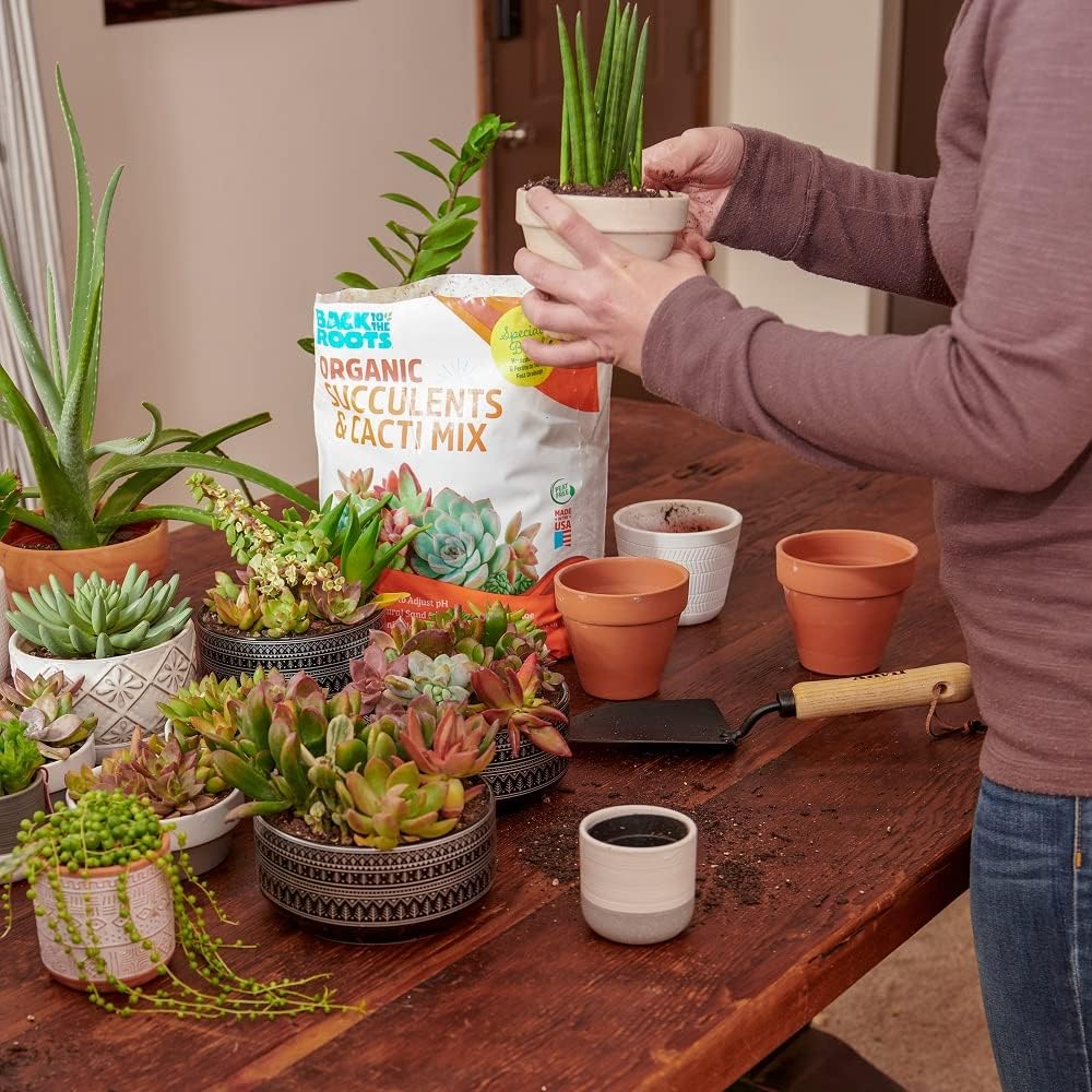 Back to the Roots 100% Organic Succulent & Cacti Mix (6 Quart)